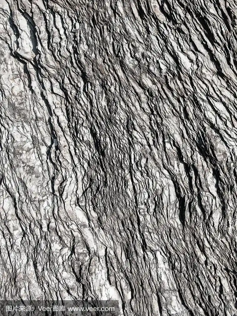 英国海岸上纹理丰富的岩石