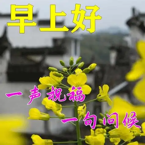 早上好,我亲爱的好朋友,祝愿你快乐每一天