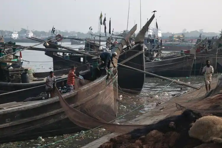 孟加拉国摄之行—吉大港鱼市场,盐码头,牛市场,菜市场