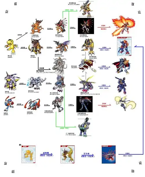 数码宝贝进化图?