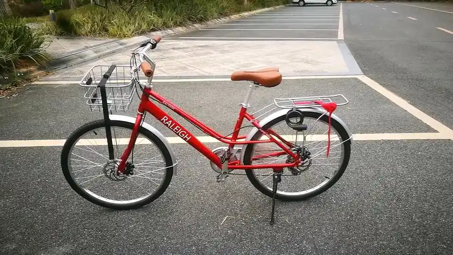 我的凤凰头通勤自行车