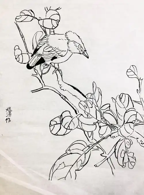 1.24周六上午班·白石大师班作品·白描花鸟