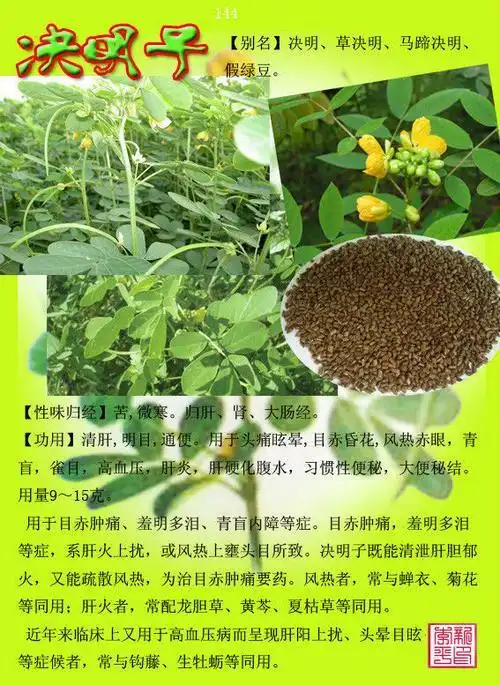 闲情雅趣.的美篇