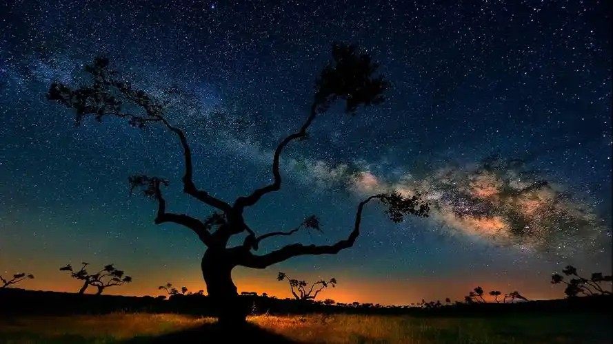 唯美英仙座流星雨图片