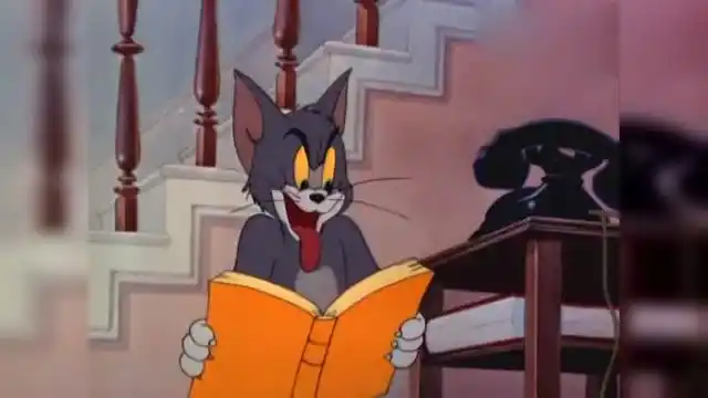 猫和老鼠 汤姆打电话给捕鼠公司来抓老鼠,没想来了只笨猫