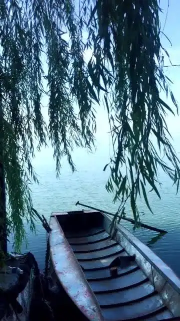 好喜欢这样的意境,安静美好美景!