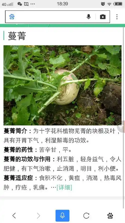 谁知道这种蔬菜叫什么啊?