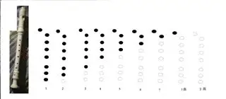 我的奇美八孔竖笛指法图丢失了,如果谁有这种竖笛的清楚的指法图能不