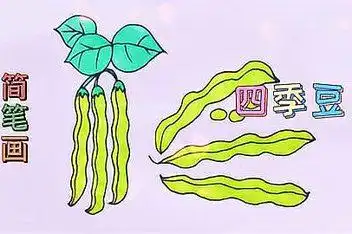 小耳朵简笔画教程 四季豆排队要听妈妈话_百度视频搜索