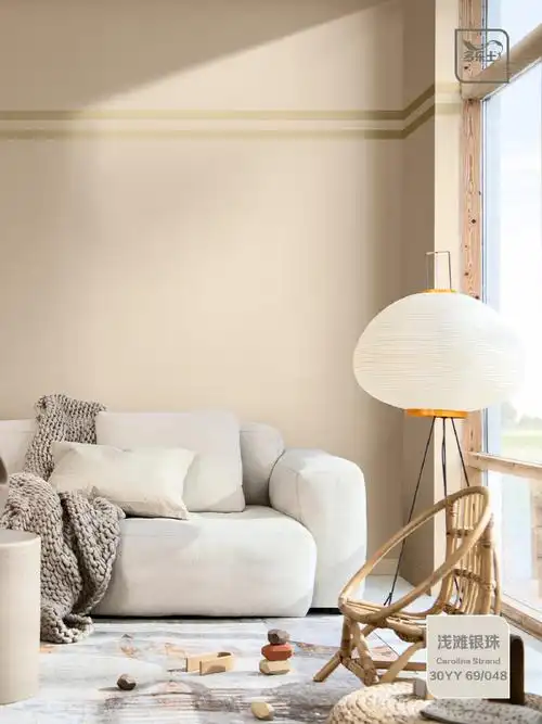 色##墙面改造##浅滩银珠##奶油色##网红色##流行色##家居##背景墙##我