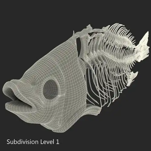 鱼骨架3d模型