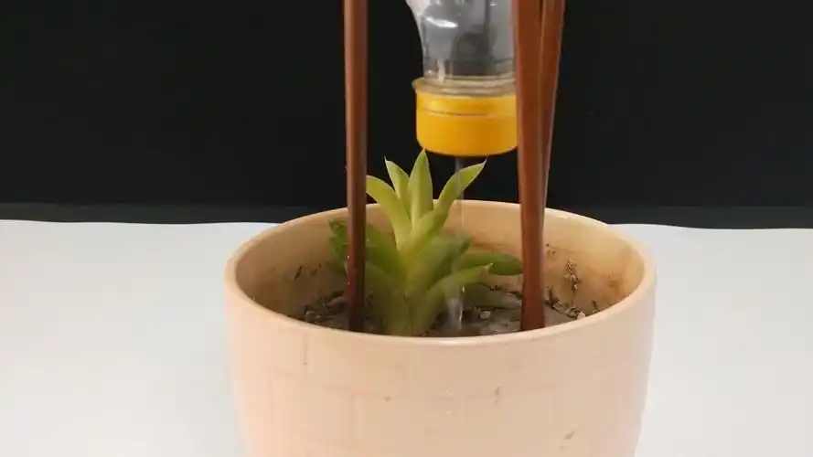 把3根筷子绑在塑料瓶上,解决了困扰好多人的难题,简单实用!