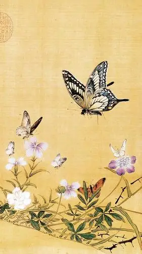 国画～工笔花鸟