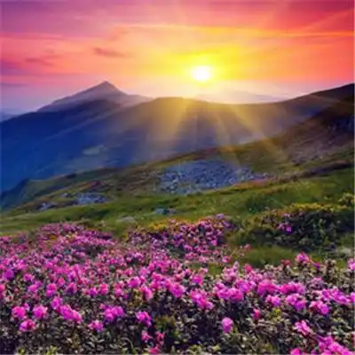 最佳风水头像图片大全(16张)