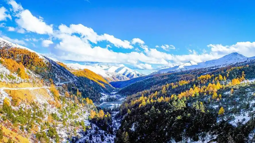 秋冬美景惊艳同框!