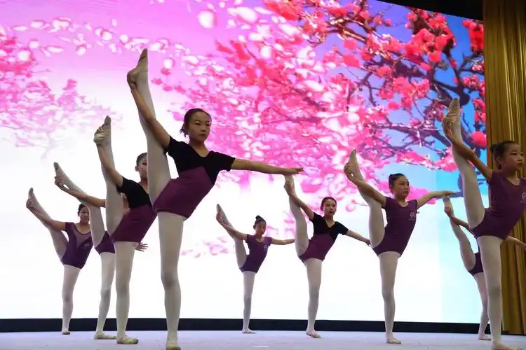 春风化雨桃李芬芳 2019"桃李芬芳"晨光艺术团中国舞教学体系展演即建