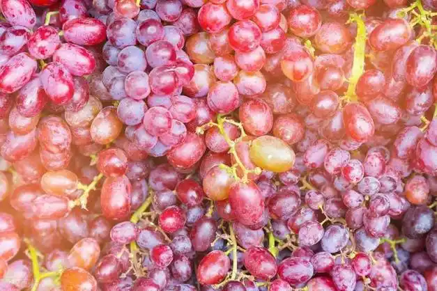 导语:马上清明节了,老人言:"上坟不带4果,桃子不摆供桌"|水果|供品_网