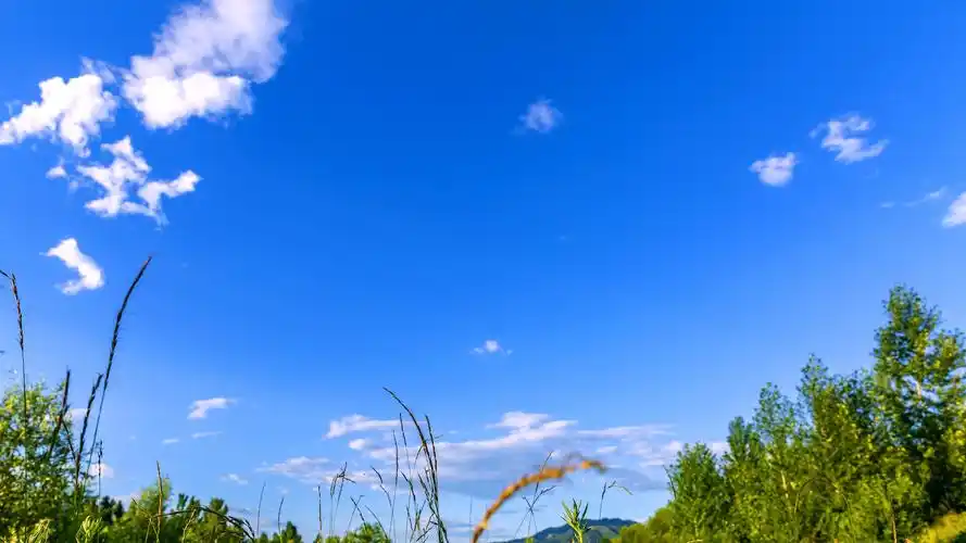 绿草蓝天白云_风景_poco摄影