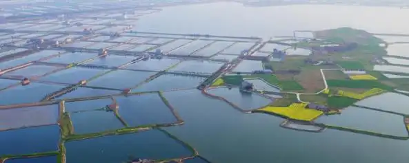 为什么长江三角洲地区被称为鱼米之乡