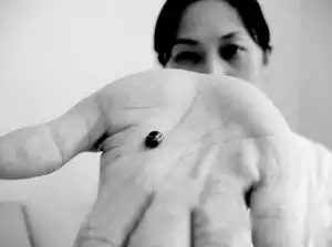 蜱虫跟虱子一样大吗?