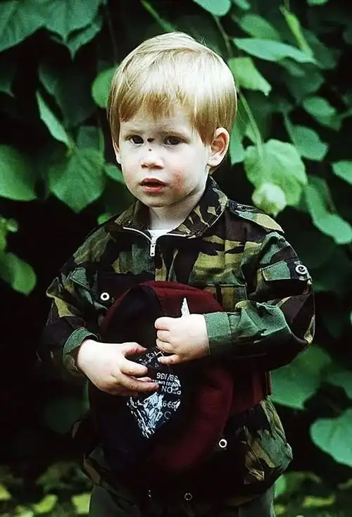 哈里王子面临2选1的困境为了妻子梅根放弃了挚爱一生的军装