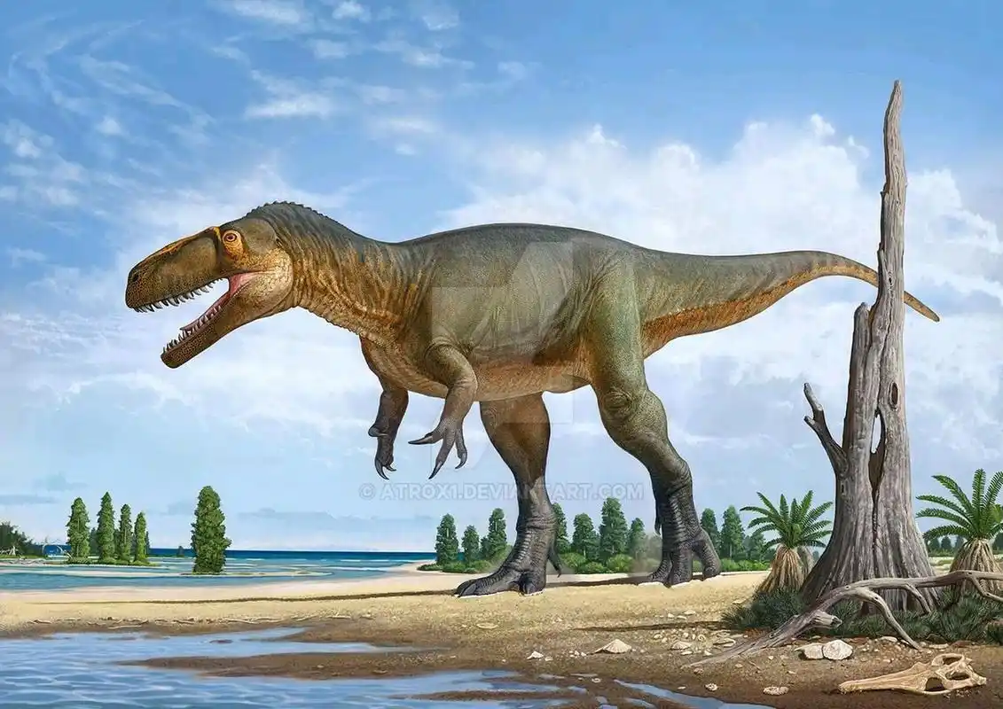 虽然巨齿龙的前腿比较短小,但在前脚趾的末端长着如同小钩子一样的爪.