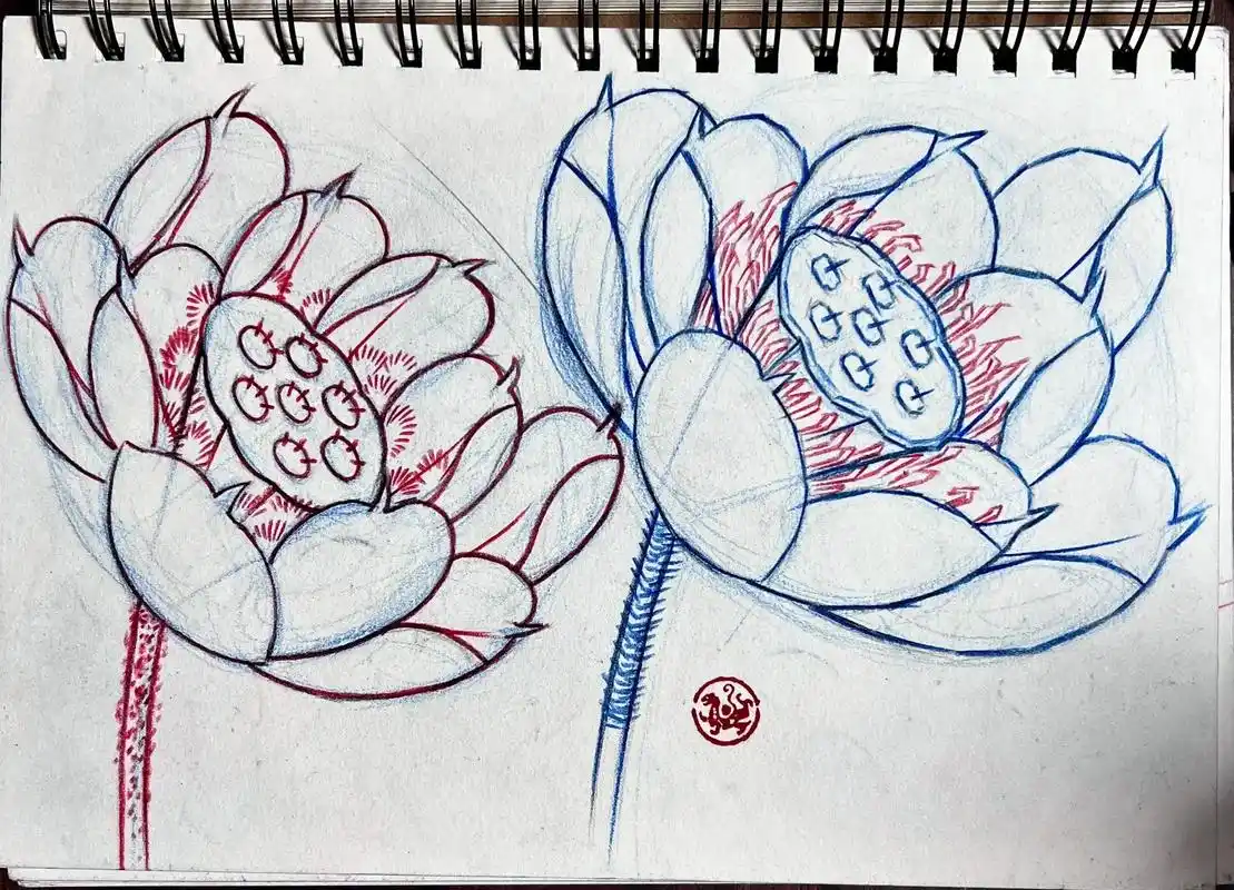 荷花花苞.跟@雲鹤-南流 学习#传统文化 #图案设计 #图文 - 抖音