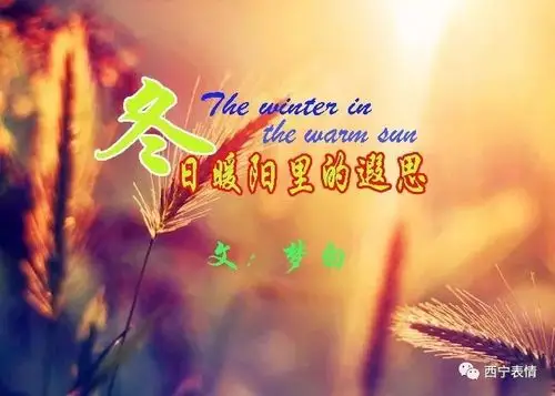 梦白|冬日暖阳里的遐思