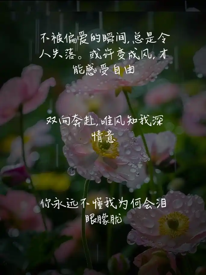 伤感语录想哭,句句扎心,字字心痛