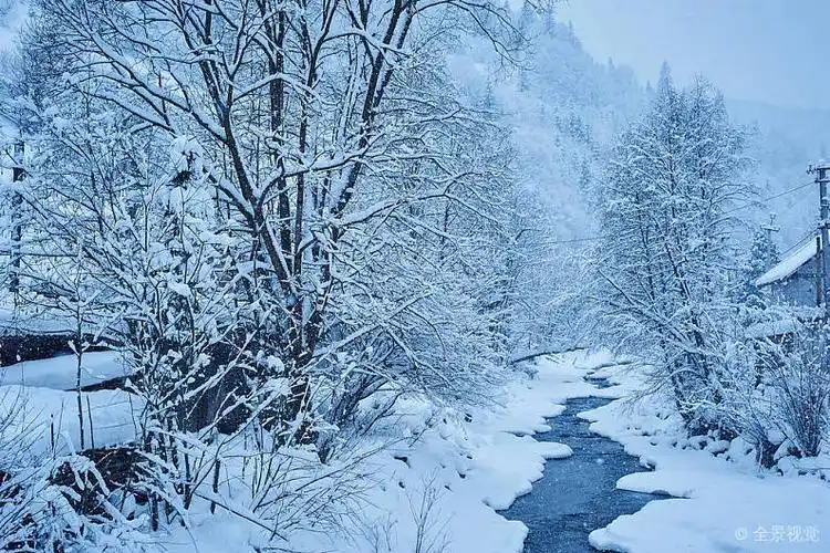 冬天_山_河_下雪_树林_积雪_寒冷_图片大全—全景创意图库(quanjing.