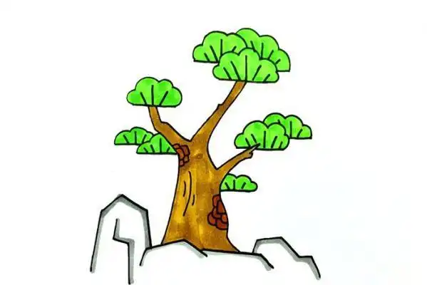 松柏怎么画_植物简笔画_简笔画大全