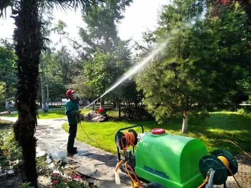 园林处6月20日工作动态