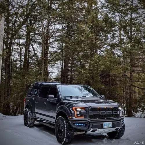 【图】福特猛禽f150改装集锦,帅的不要不要的_福特皮卡论坛_汽车之家