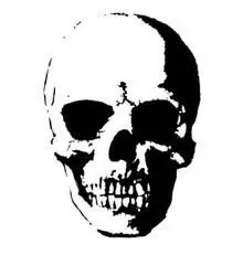 霸气骷髅男qq头像头像_微信头像图片大全