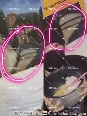 为何李小璐pgone打死也洗不清