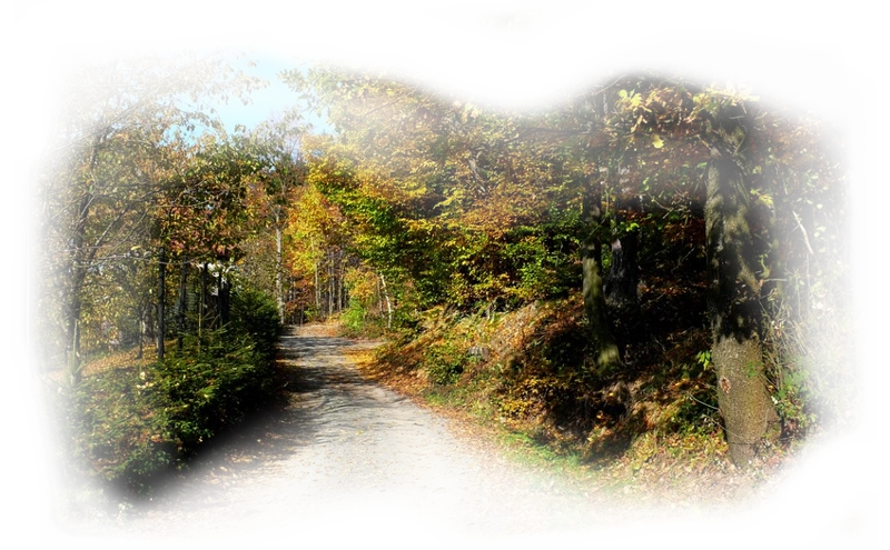 【免抠png素材篇】png羽化风景素材 第23辑