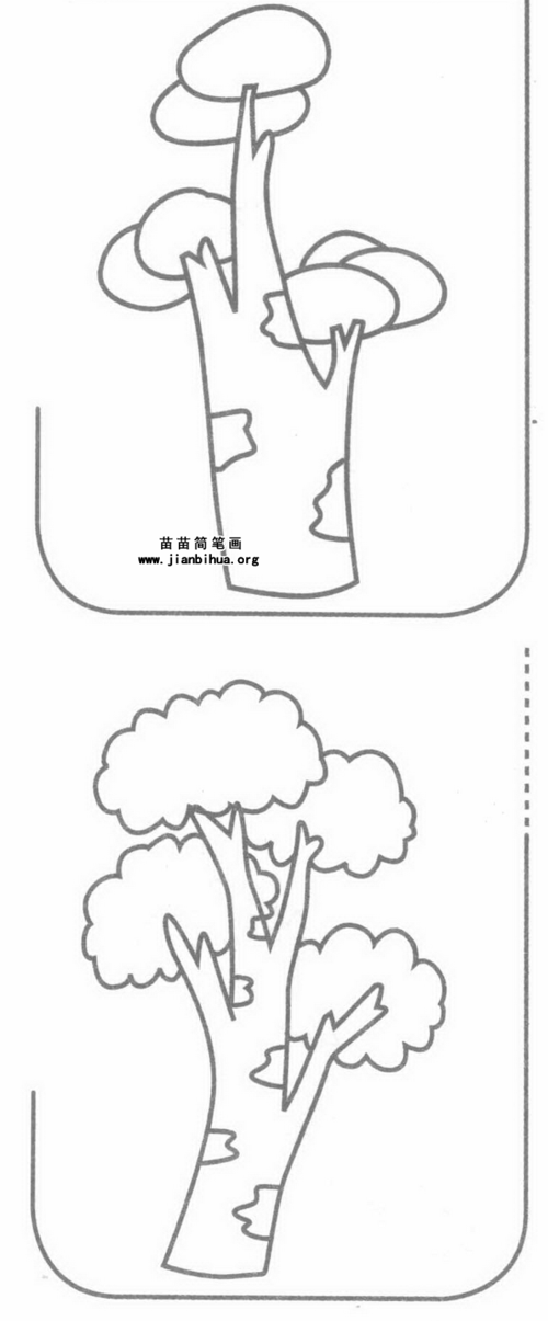 小学生秋景画梧桐树的简笔画