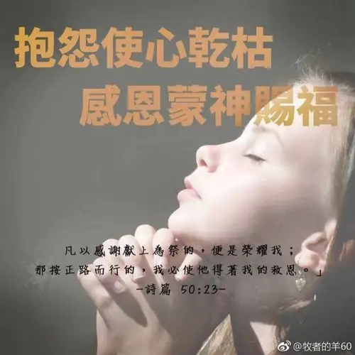 540 18/10/01 07:18                       感恩感动的赞美非常棒,求