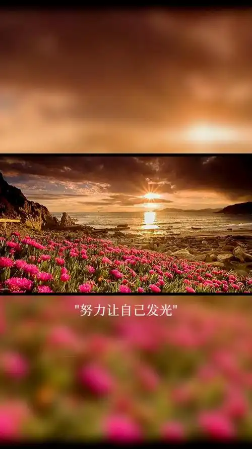 努力让自己发光,对的人才会迎光而来!