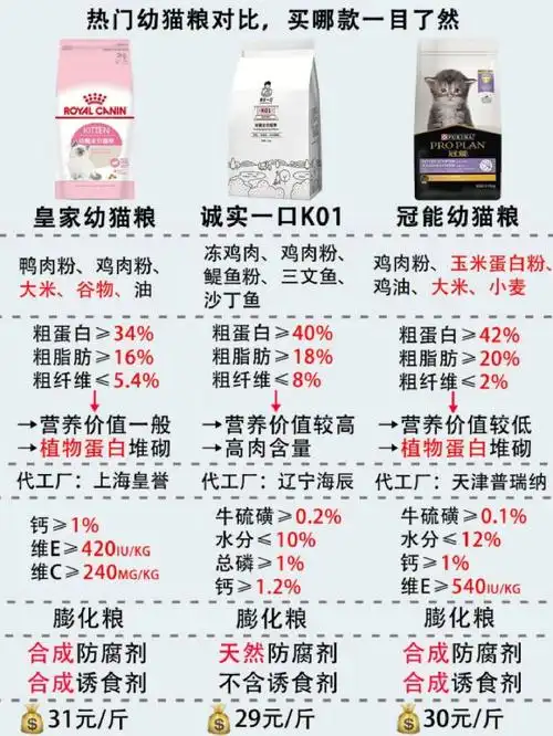 热门平价幼猫粮对比买哪款一目了然