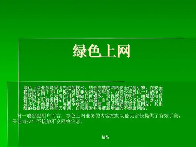 绿色上网培训课件.ppt