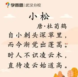 寒假课杜荀鹤小松