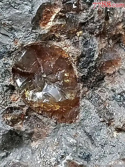 辽宁抚顺西露天矿特产琥珀伴生珀俗称煤黄线原生态大块原石