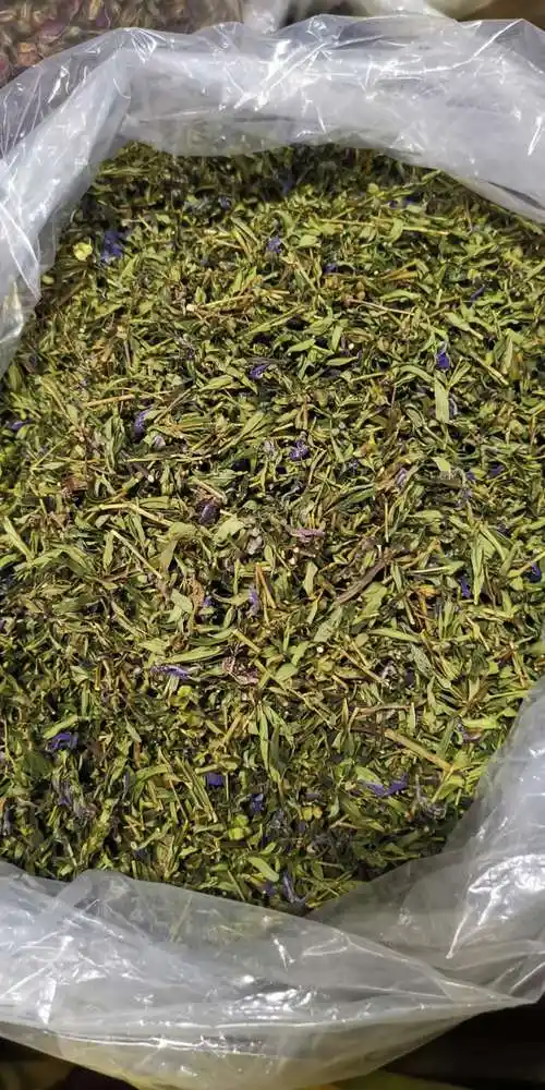 2020年新货内蒙古呼伦贝尔天然野生小黄黄芩叶茶100g其它干货