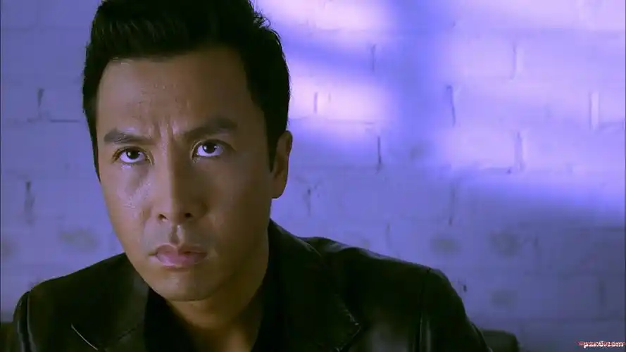 [香港][2005][杀破狼/杀破狼][甄子丹/洪金宝/任达华/廖启智/吴京][粤