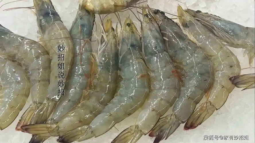 鲜虾要大量上市了,别光挑大的捡,牢记"3买3不买",好虾一挑一个准