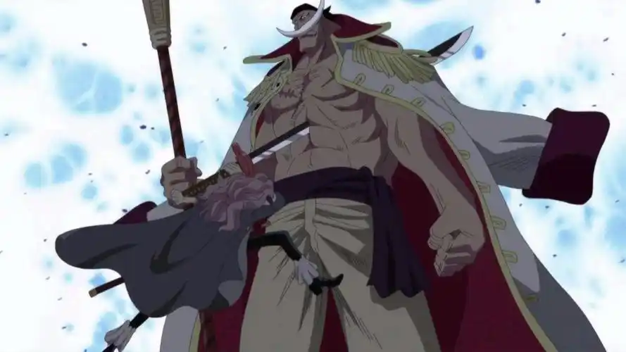 海贼王:白胡子被刺,他有着让人复原的能力,却没有做应急处理