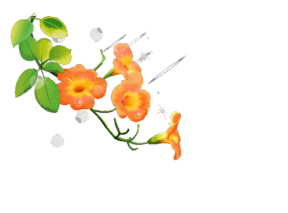 【免抠素材】—透明gif花草树木素材