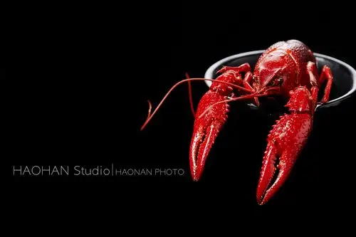 又到了吃龙虾的季节|摄影|静物|浩瀚映像 - 原创作品 - 站酷 (zcool)