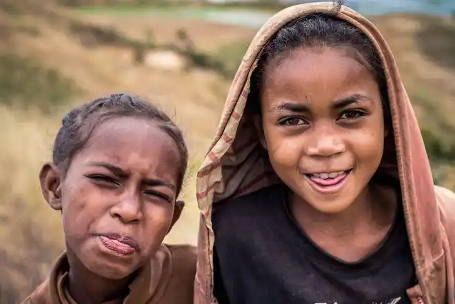 30多张令人难以置信的马达加斯加照片非常多的动物